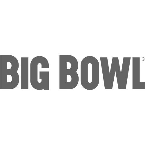 Big Bowl logo